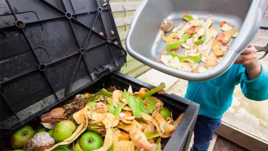 América latina y el Caribe desperdician el 20% de la comida que se pierde en el mundo