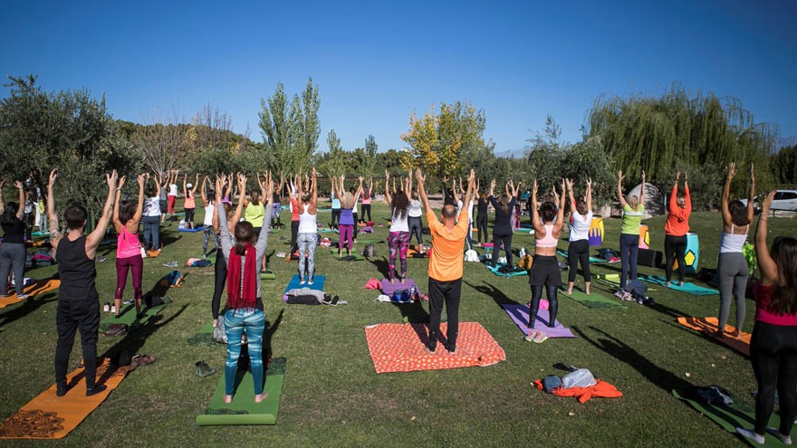 ¿Yoga entre vinos y viñedos?: así es el original ciclo organizado en Mendoza