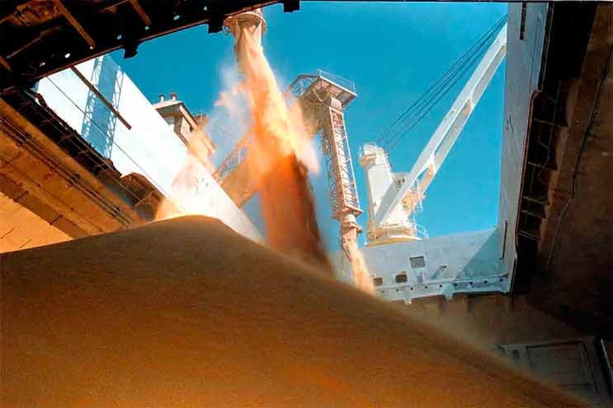 Exportadores de granos tuvieron la mayor liquidación para octubre en cinco años