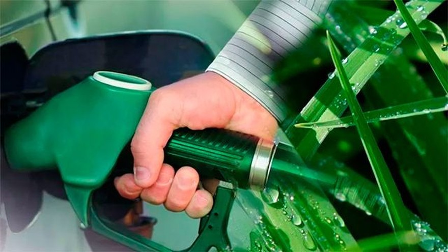 Productores de biocombustible se declaran en estado de alerta: hay 10 mil empleos en riesgo