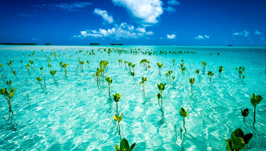 La ONU advierte que el cambio climático puede hacer desaparecer el turismo