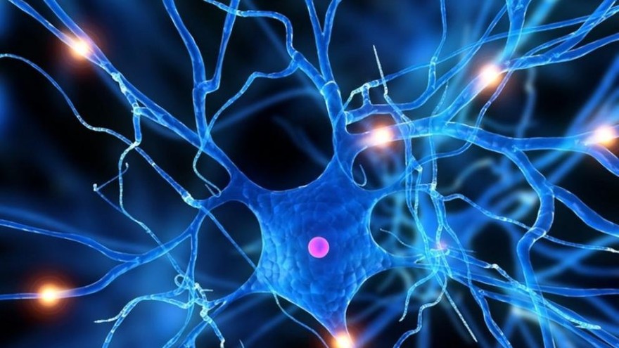 Parkinson: un paso más para entender qué lo causa y poder tratarlo