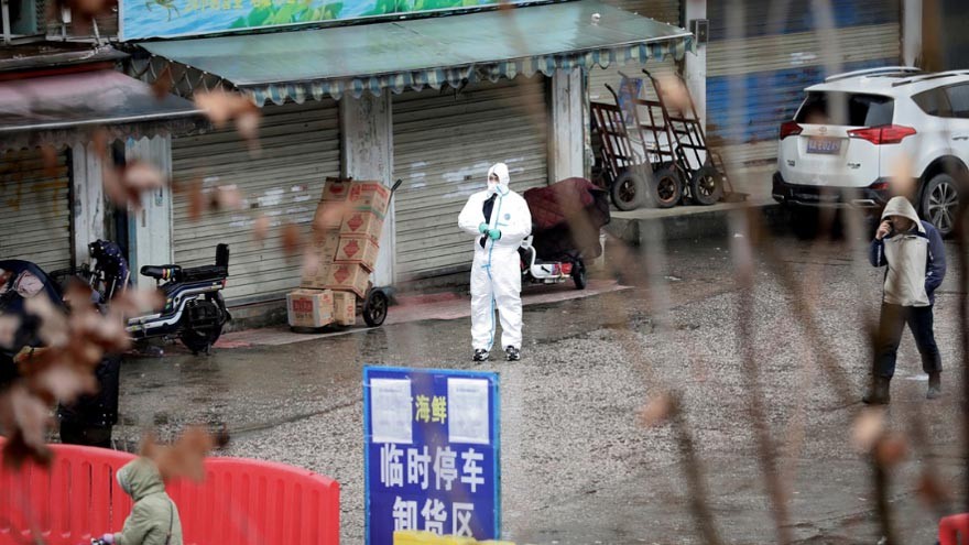 Fotos: así es por dentro el mercado de Huanan donde se habría originado el coronavirus en China