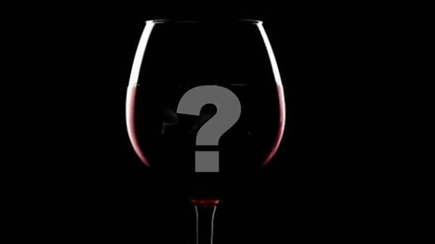 ¿Cuál es la marca de vinos de Argentina líder en el mercado europeo?