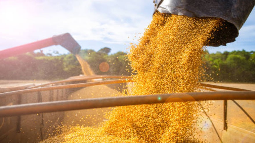 Cofco, al frente del ranking exportador del agro