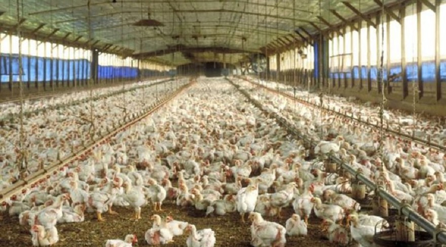 Coronavirus: qué economías regionales que siguen en actividad en medio de la cuarentena