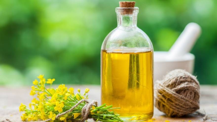 Aceite de canola: el mejor aliado para prevenir enfermedades cardiovasculares