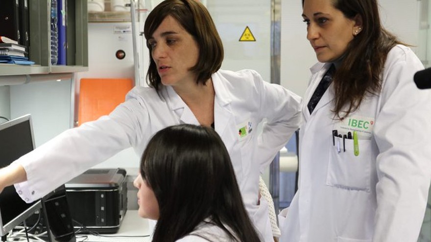 Expectativa: identifican nuevo fármaco capaz de bloquear los efectos del coronavirus