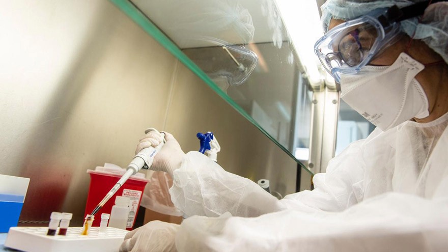 Coronavirus: el Instituto Malbrán identificó la circulación de tres cepas diferentes en Argentina
