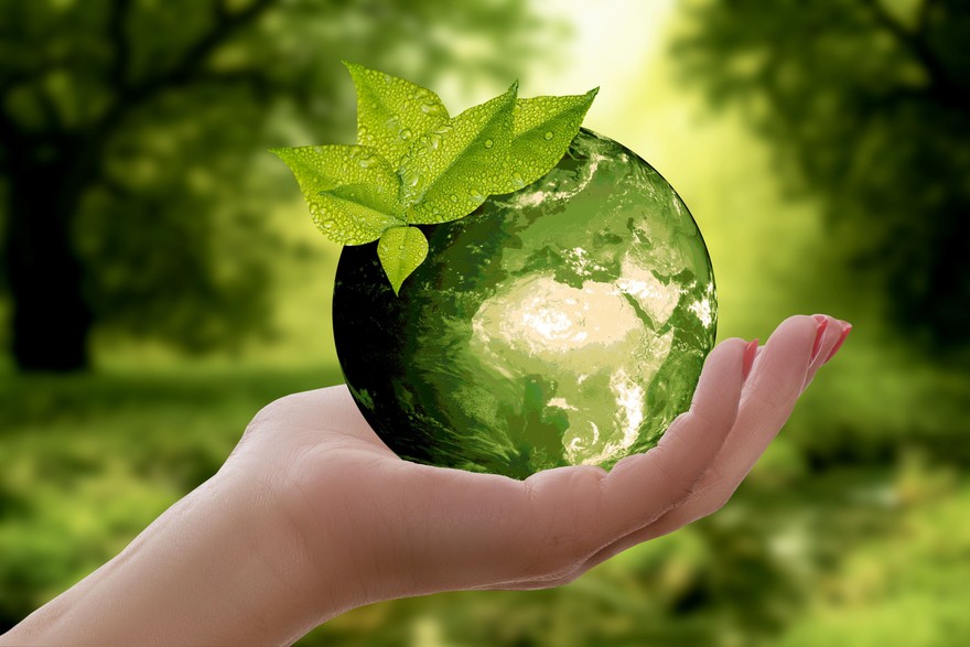 Ser sustentable en 2020: clave para evitar el fracaso de las empresas