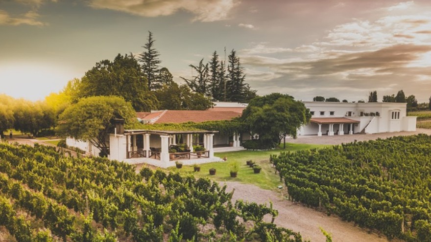 Así serán los vinos tintos y blancos cosecha 2020, según Nieto Senetiner y Cadus Wines