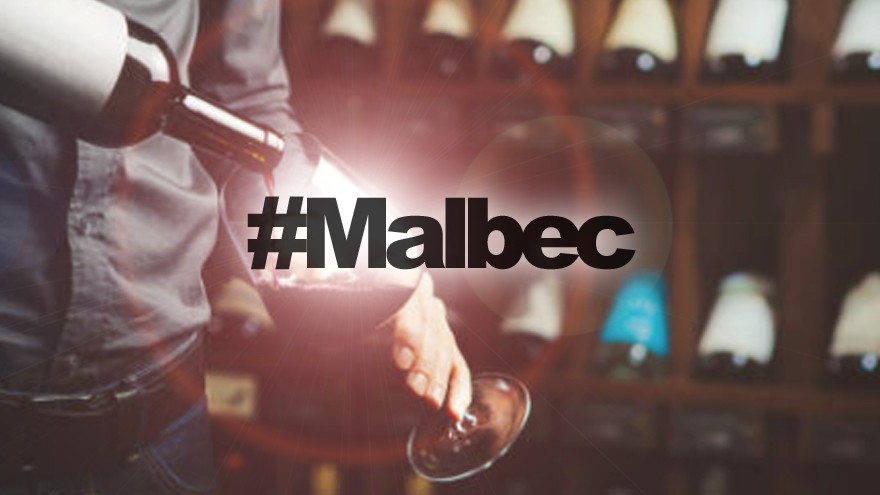 Vinos rosados, blancos, espumantes y más: las múltiples caras del Malbec