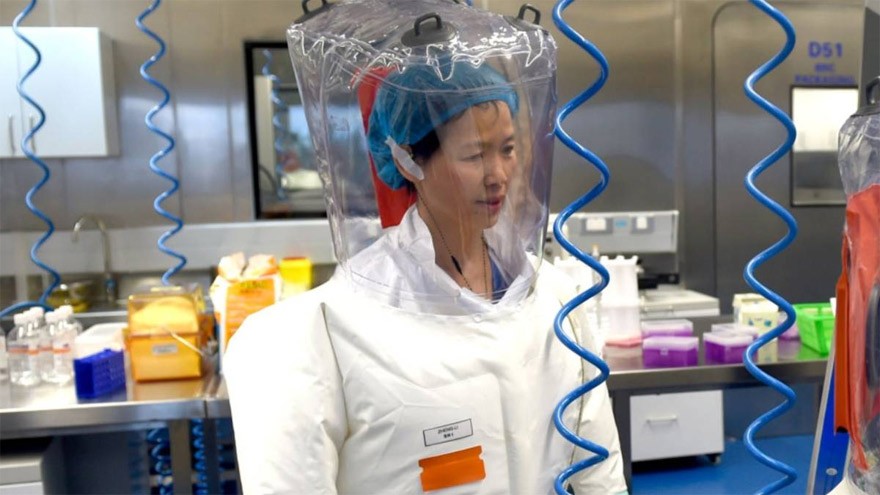 Advertencia de una famosa viróloga china: "El coronavirus es sólo la punta del iceberg"