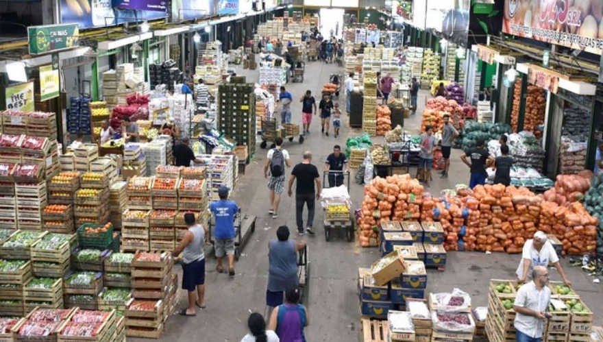 Ambiente avanza en el desarrollo de una compostera municipal en el Mercado Central