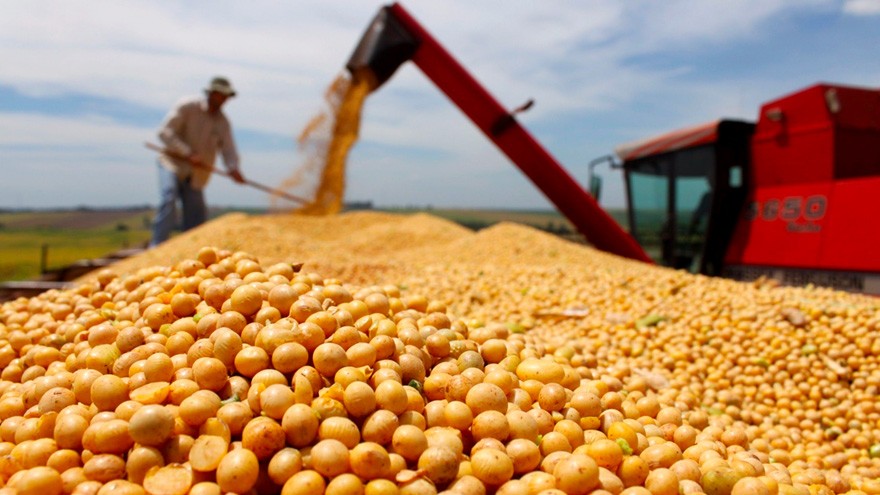 Deudas de Vicentin: por qué acreedores y cooperativas apoyan la expropiación de la agroexportadora