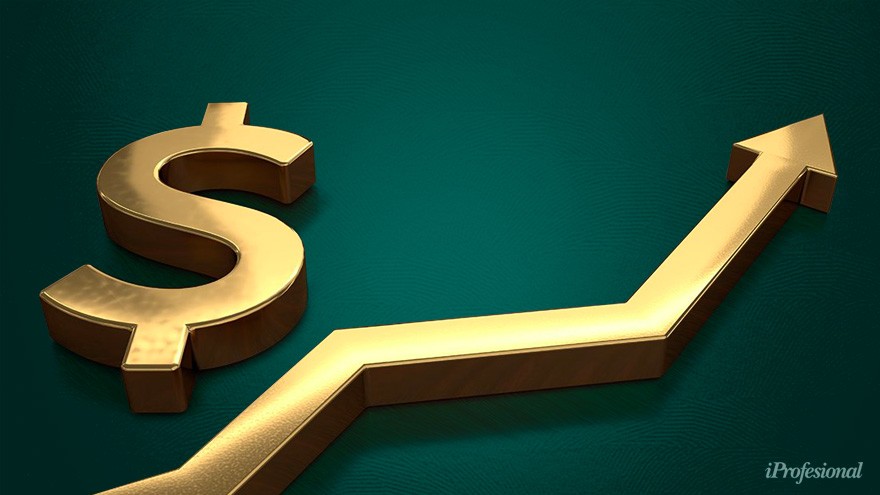 Créditos en pesos: ¿cuáles son las líneas más elegidas por particulares y empresas?