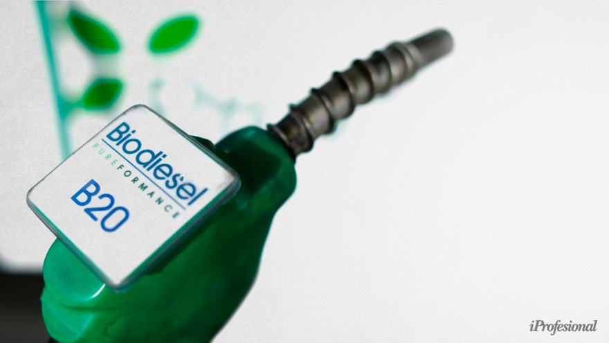 Pymes de biocombustibles, al borde del abismo: esperan respuesta del Gobierno para evitar su desaparición