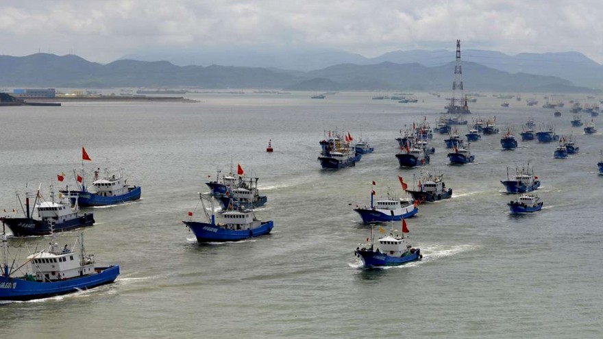 Flota china: la armada de pesca ilegal que depreda el mar puso proa hacia Argentina