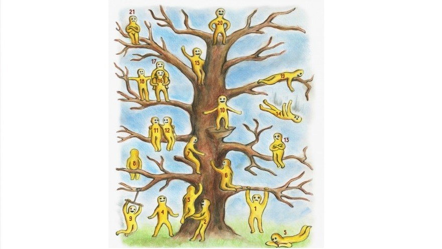 Nuevo test: ¿en qué parte del árbol estás?