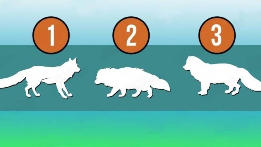Test: ¿te animás a conocer aspectos ocultos de tu forma de ser?
