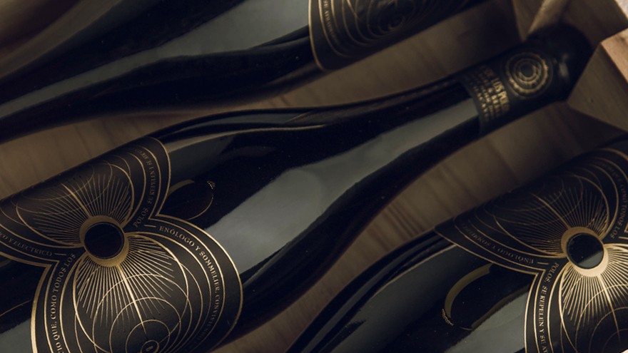 De qué se trata el Pinot Noir "polémico" que lanzaron un enólogo y un sommelier
