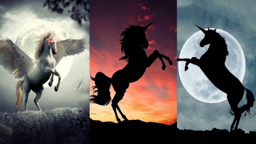 ¿Qué unicornio elegís? Conocé el mensaje espiritual que revela tu respuesta