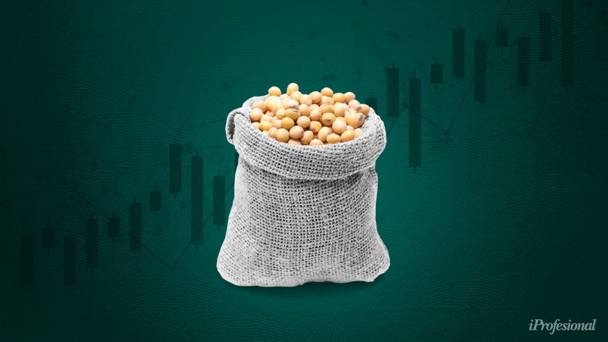 Dólar soja: cuánto recibe el productor por cada tonelada