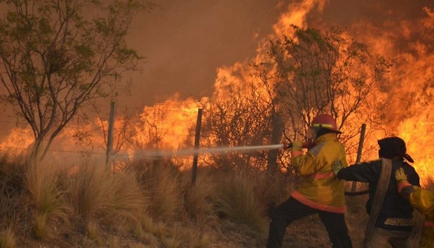 ¿Cómo será el sistema de monitoreo de incendios en el Delta que prepara el Gobierno?