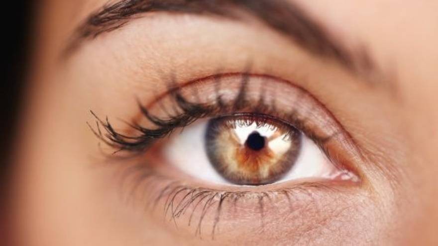 El origen de las frases: ¿cómo surgió "ojo por ojo, diente por diente"?