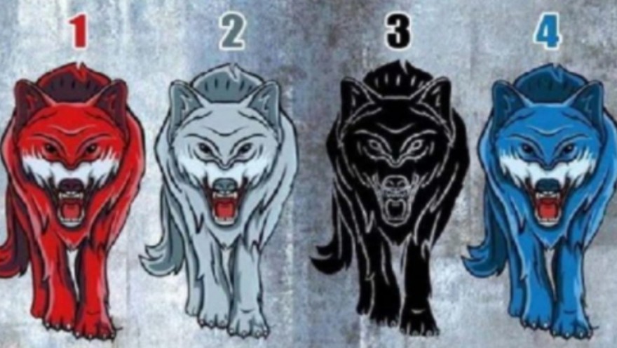 Elegí un lobo y descubrí cuándo necesitás estar completamente solo