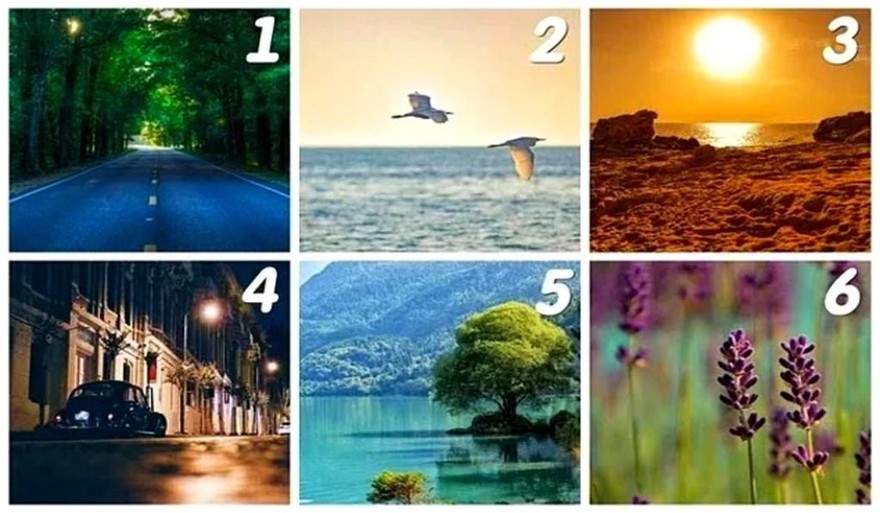 Dime qué paisaje eliges y te diré cómo llegará la felicidad a tu vida