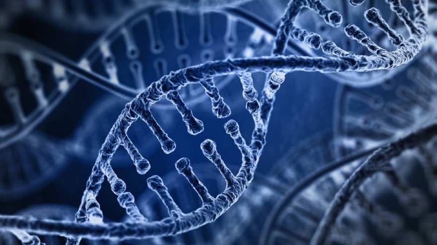 ¿Por qué algunas personas tienen cuadros más severos de Covid-19? La ciencia responde