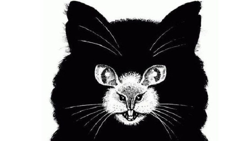 Gato o ratón: el animal que veas primero definirá tu actitud en la vida