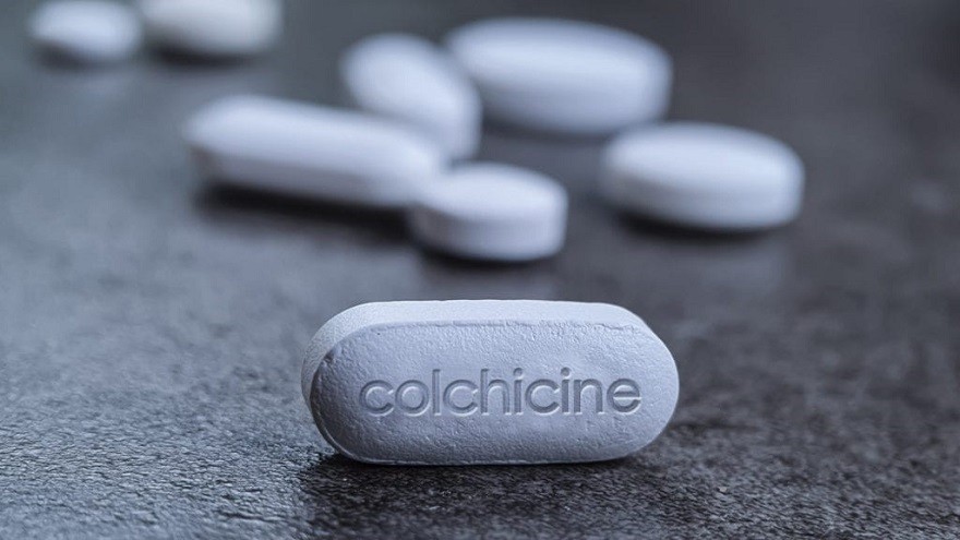La colchicina: ¿por qué un papiro egipcio es la gran esperanza contra el COVID-19?