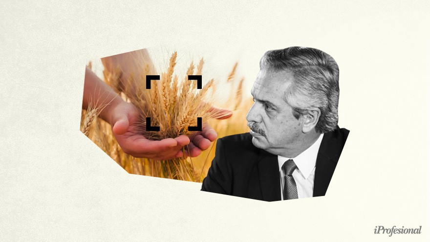Precios de alimentos: Alberto quiere que el campo se auto regule con "la fórmula del aceite"