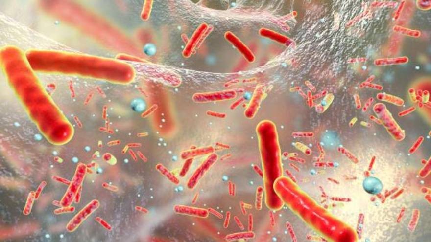 No todos los virus son malos: estos son los que conviven en tu cuerpo y te ayudan a vivir