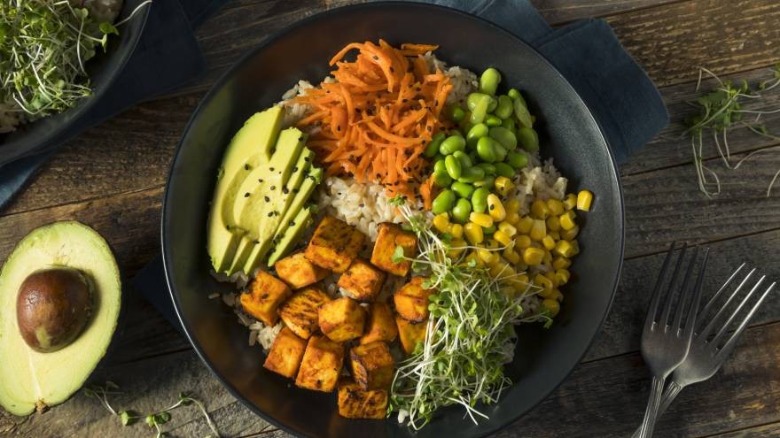 Qué es el plato Harvard, la guía de alimentación para comer más saludable