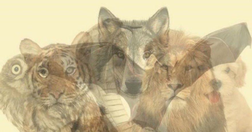 ¿Qué animal viste primero?: tu respuesta encierra un significado