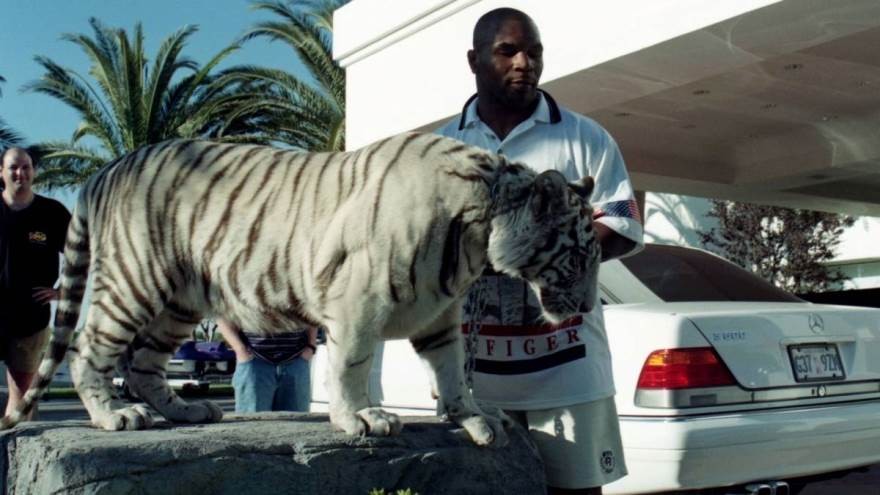 Tyson, una vida llena de compras compulsivas: desde bañeras de oro hasta tigres de bengala