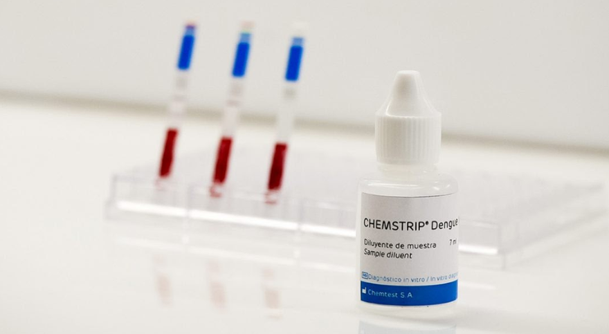Dengue: cada vez más casos, pero ahora hay una prueba rápida que permite detectarlo