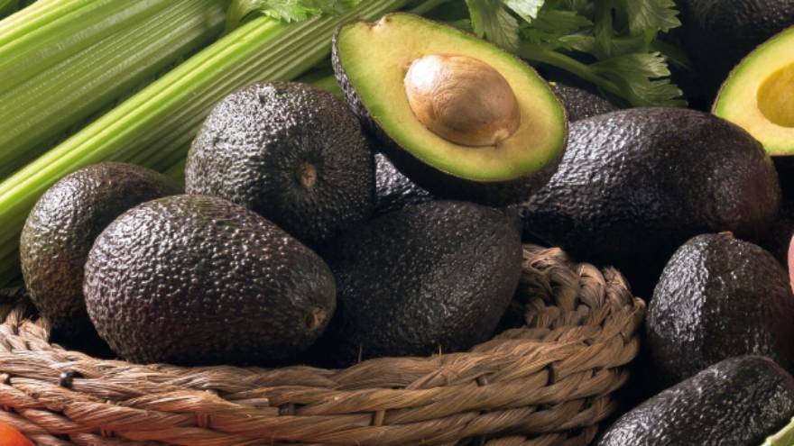 La historia de la palta, el alimento de moda: ¿dónde surgió y por qué cambió de color?