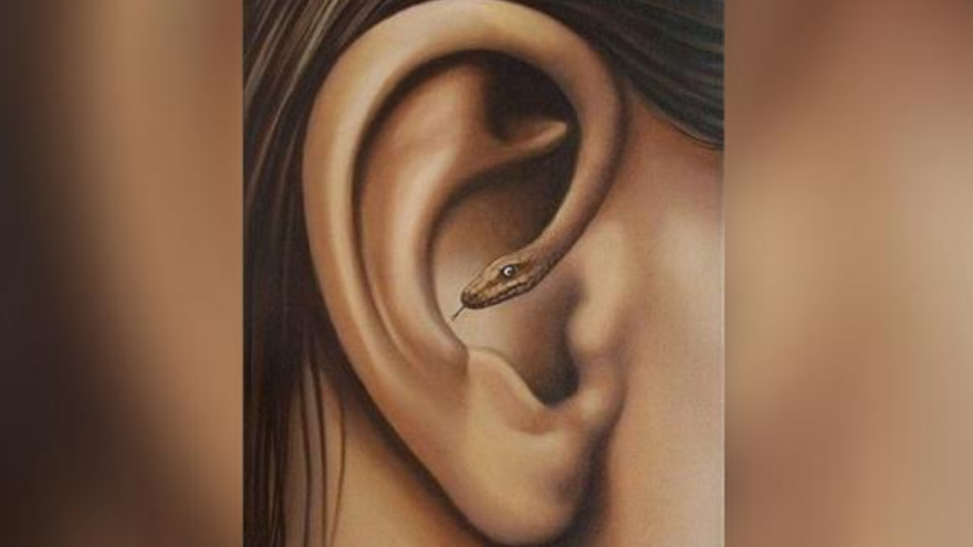 ¿Serpiente u oreja? Lo primero que veas en la imagen revelará algo oculto sobre vos