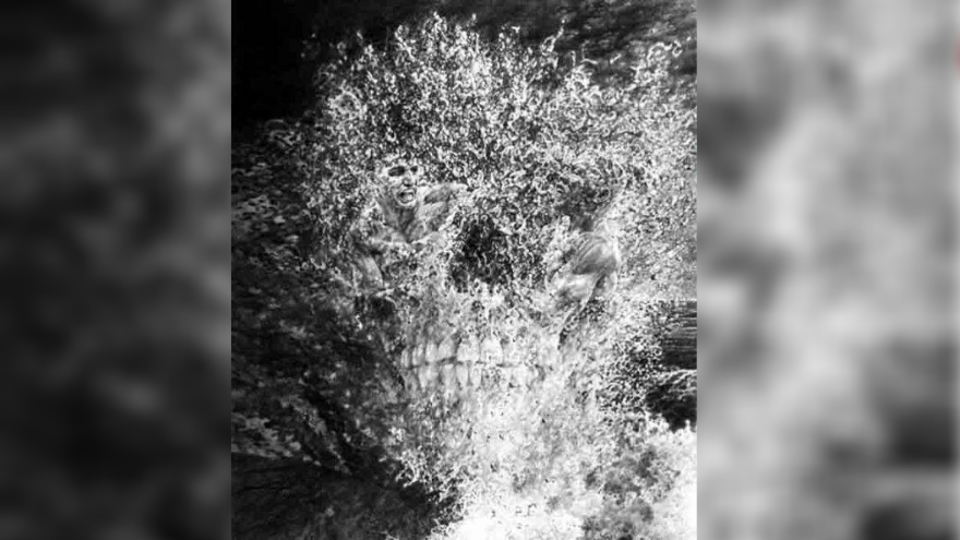 ¿Qué ves primero en la imagen? Este test revela algo oculto sobre tu personalidad