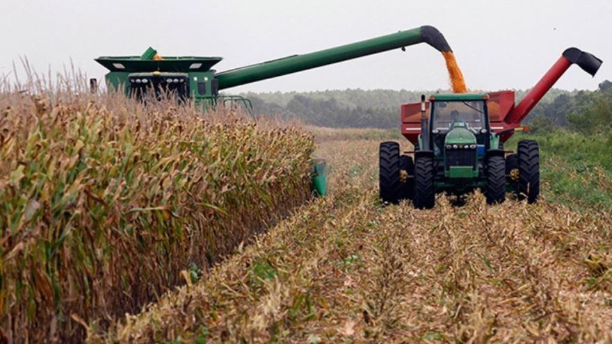 Se mete en el AgTech: Bayer lanza en Argentina FieldView, su solución digital agrícola