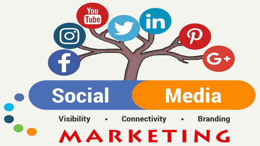 Estrategias efectivas: 5 consejos para construir una marca sólida en medios digitales