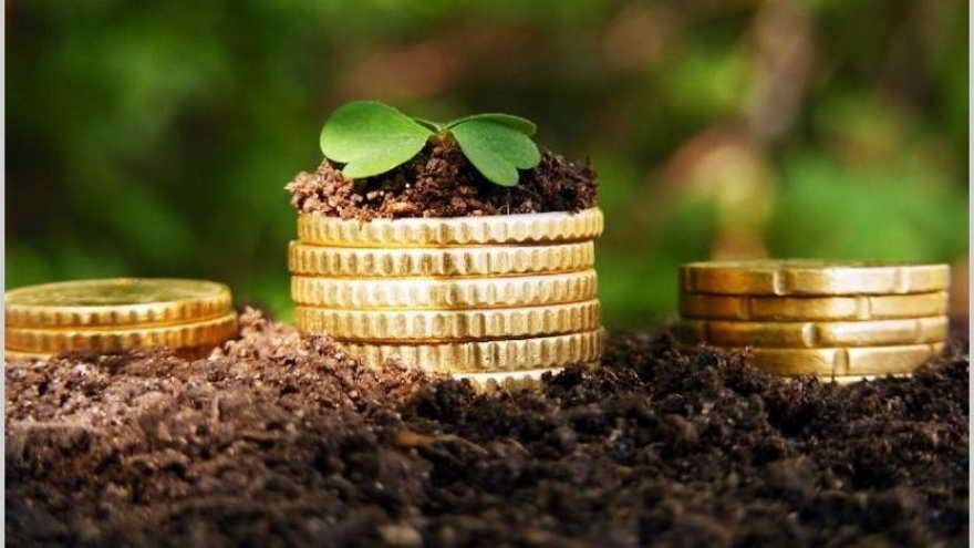 Economías regionales: los "unicornios" que surgen les compiten a los del sector tecnológico