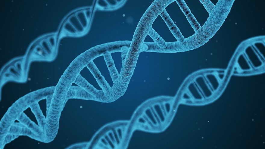 No es ciencia ficción: dentro de 20 años será posible revertir el proceso de envejecimiento