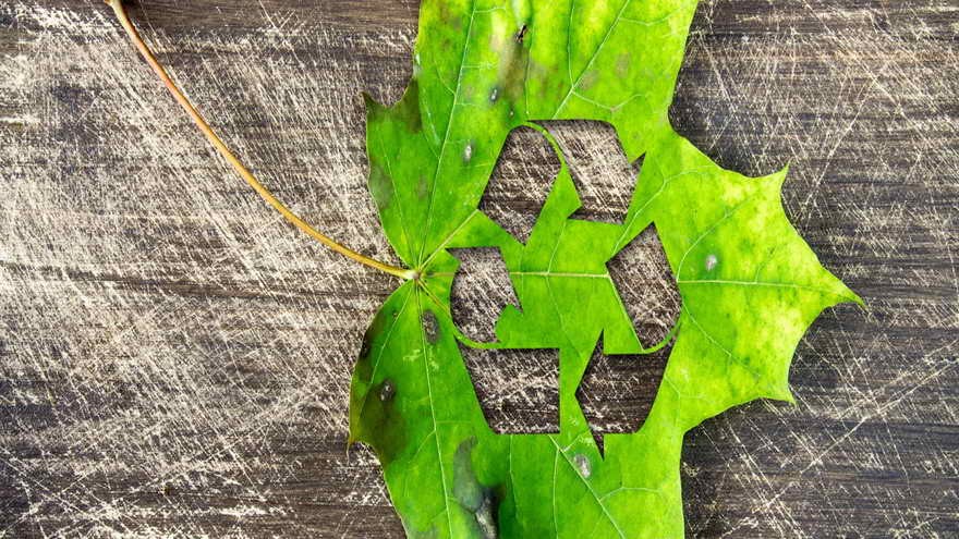 Las tendencias y medidas sustentables generaron 500.000 trabajos, que en 10 años se triplicarán