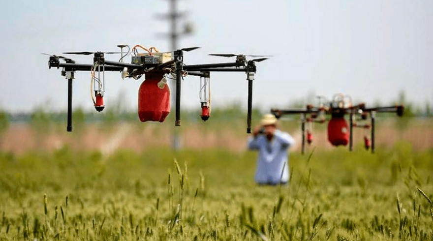 Agricultura 4. 0 y drones inteligentes: el Internet de las Cosas gana terreno en los campos