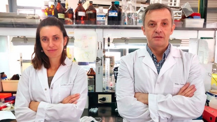 Avance contra el Covid-19: prueban un test desarrollado en Argentina que devuelve resultados en una hora